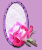 Rose in Mirror PSP 7 Tutorial by DisDatDesigns