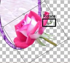 Rotate the Rose Tube
