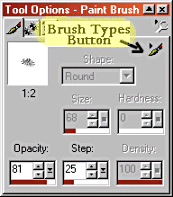 Brush Options Box