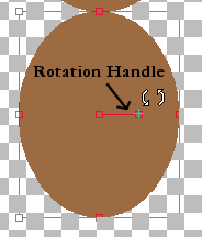 Rotation Edit